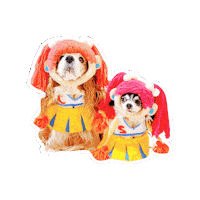 Cavalierkingcharlesspaniel Sticker