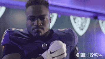 Football Celebrate GIF by Baltimore Ravens
