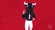 Nfl Mascot GIF by Houston Texans