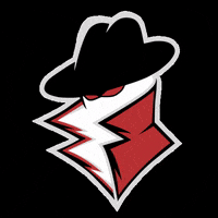 csgo GIF by Private Esports