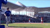 Blue Jays Good Job GIF by Toronto Blue Jays