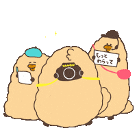 Sam Photographer Sticker