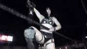 Champion GIF