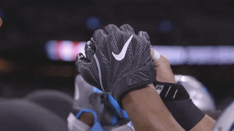 Fist GIF by Carolina Panthers