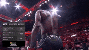 Sport GIF by UFC