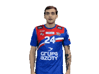 Handball Pgnigsuperliga Sticker by KS Azoty-Puławy S.A.