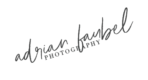 adrianfaubel giphyupload adrian faubel photo photography afphoto Sticker
