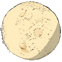 Full Moon Sticker by Island Records UK