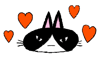 minstudio cat kitty kitten i love cats Sticker