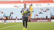 Premier League Smile GIF by Aston Villa FC