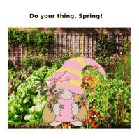 Flowers Spring GIF