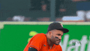 Houston Astros Sport GIF by MLB