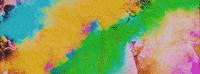 Holi Festival India GIF