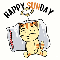 Happy Good Morning GIF by JPedicini