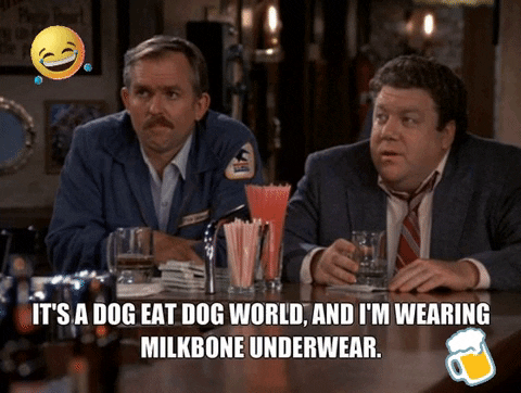 tinabohl giphygifmaker giphyattribution GIF