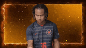 Curry GIF by Carson-Newman Athletics