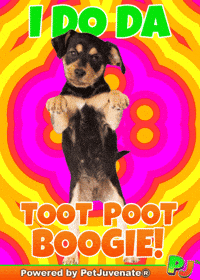 PetJuvenate petjuvenate henlo hooman fren love rescue dogs treatos and woofer for pupper GIF
