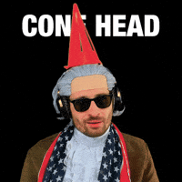 Idiot Cone GIF