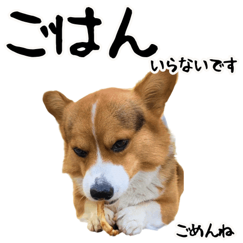 Corgi Milo Sticker