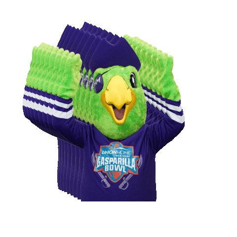 Tampa Florida Football Sticker by Union Home Mortgage Corp