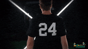 Tulane Rollwave GIF by GreenWave