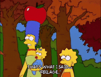 Lisa Simpson Fall GIF by The Simpsons