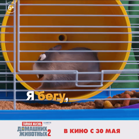 illumination humster GIF by Universal Pictures Russia