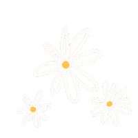 Flor Margarita Sticker