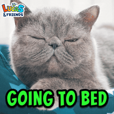 Good Night Sleeping GIF by Lucas and Friends by RV AppStudios