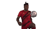 Red Devils Football Sticker by Royal Belgian FA