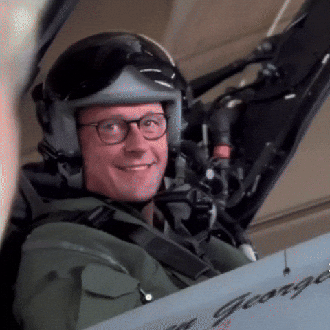 bsagt friedrich merz GIF