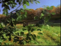season 2 GIF