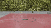 Lets Go Golf GIF by Best Youth