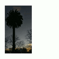 elojodenestor gif art remix tandil street photography GIF