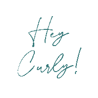 eventistrybyalecia curlycon curlyconference curly con Sticker