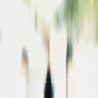 Vines Azim GIF