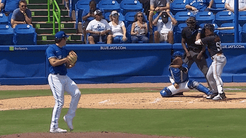 Blue Jays Mlb GIF by Toronto Blue Jays