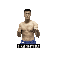 Mixed Martial Arts Mma Sticker by BRAVE Combat Federation