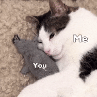 Monkeycatluna GIF