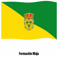 Comunidad De Madrid Bandera GIF by Formación Ninja