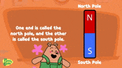North Pole Earth GIF