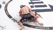 GIF by Bellator