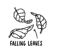 Falling Leaves Art Sticker by Ed Sheeran