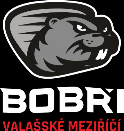 hcbobri giphygifmaker valasskemezirici valmez bobri GIF