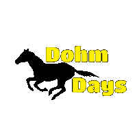 Reitsportdohm pferd reiten reitsport dohm Sticker