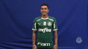 Soccer Waiting GIF by SE Palmeiras
