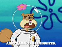 season 4 whale of a birthday GIF by SpongeBob SquarePants