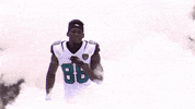 Allen Hurns Football GIF by Jacksonville Jaguars