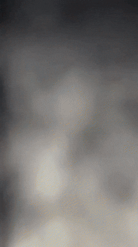 Halloween Ruby GIF by Youtooz