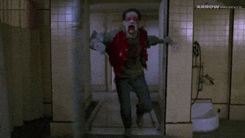 Linnea Quigley Horror GIF by Arrow Video